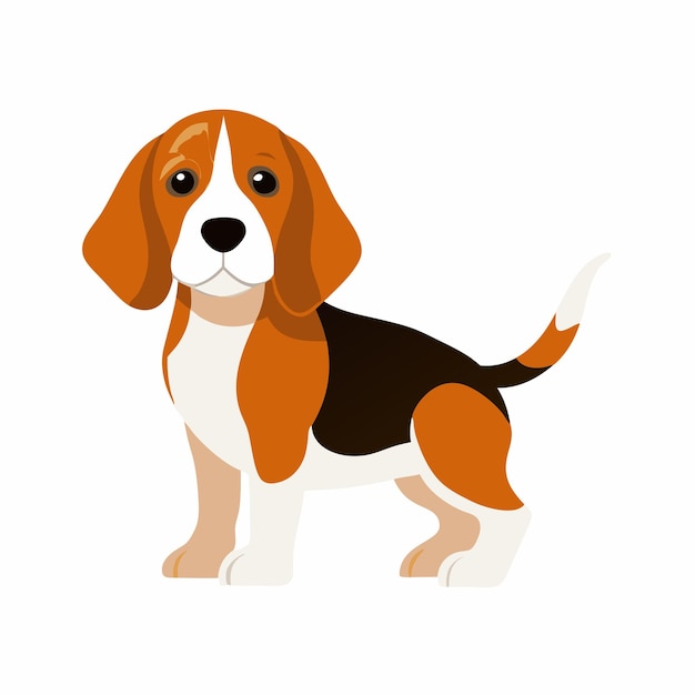 白い背景の前に犬が座っている