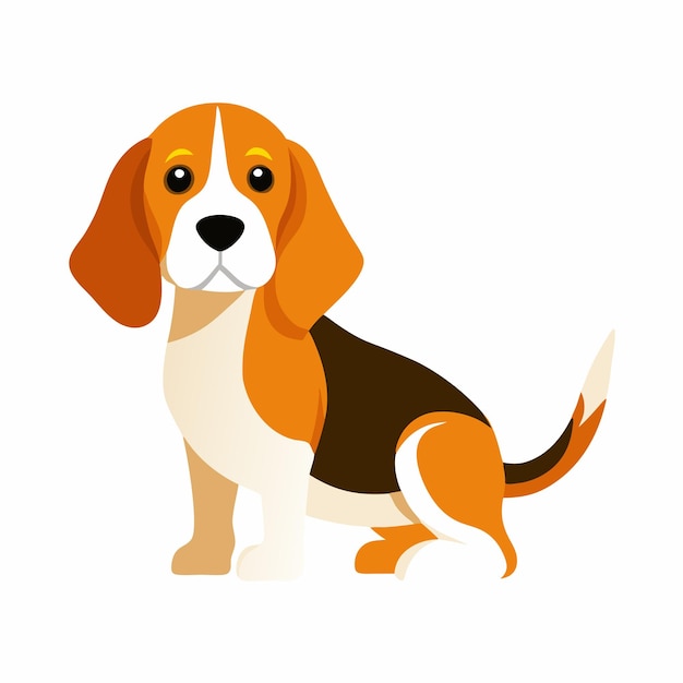 a dog is sitting in front of a white background