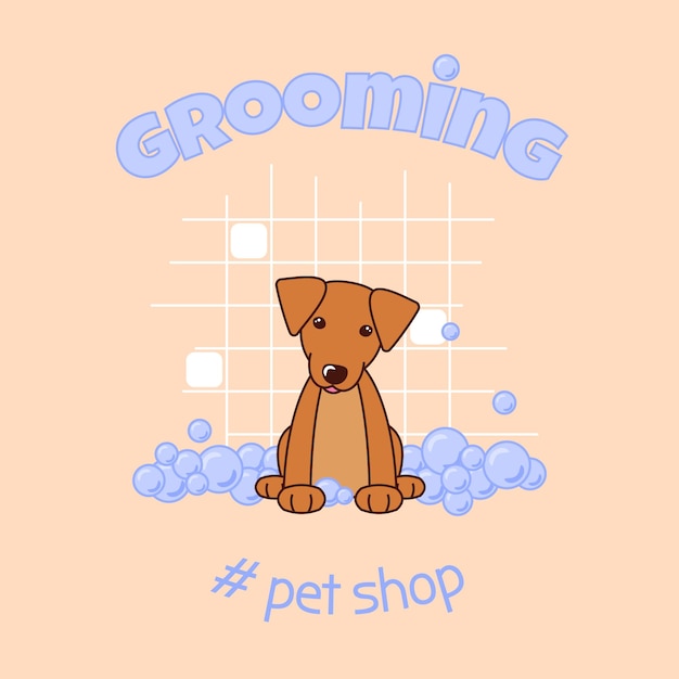 The dog is washed in a doggie salon