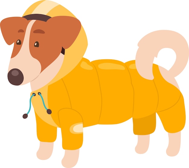 Vector dog in jacket