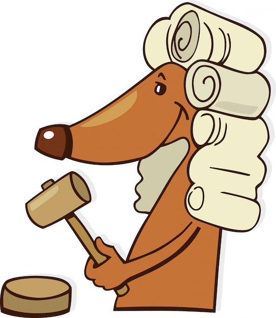 Dog judge