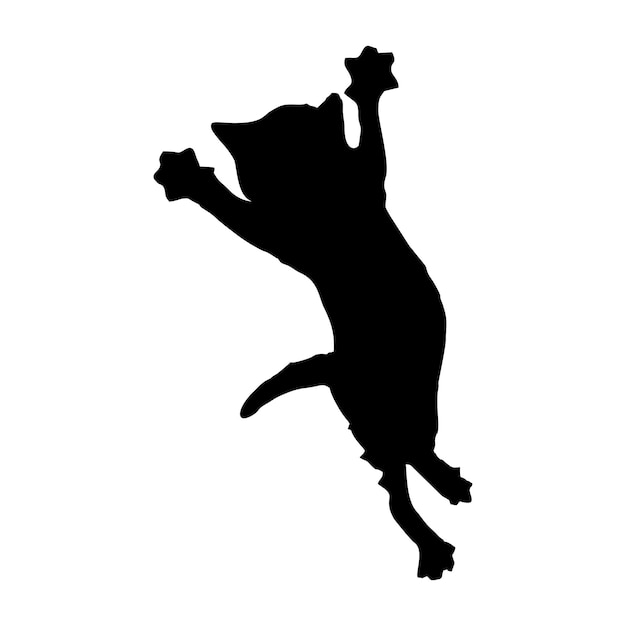 A dog jumping up in the air with a shadow on it