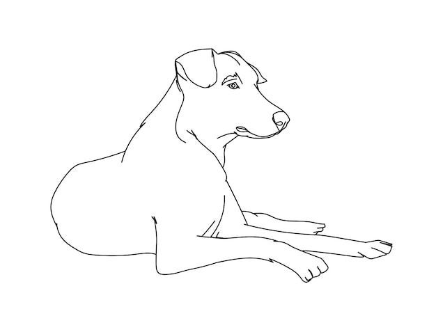 Vector dog line art drawing