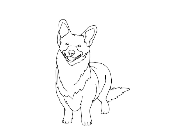 Vector dog line art drawing