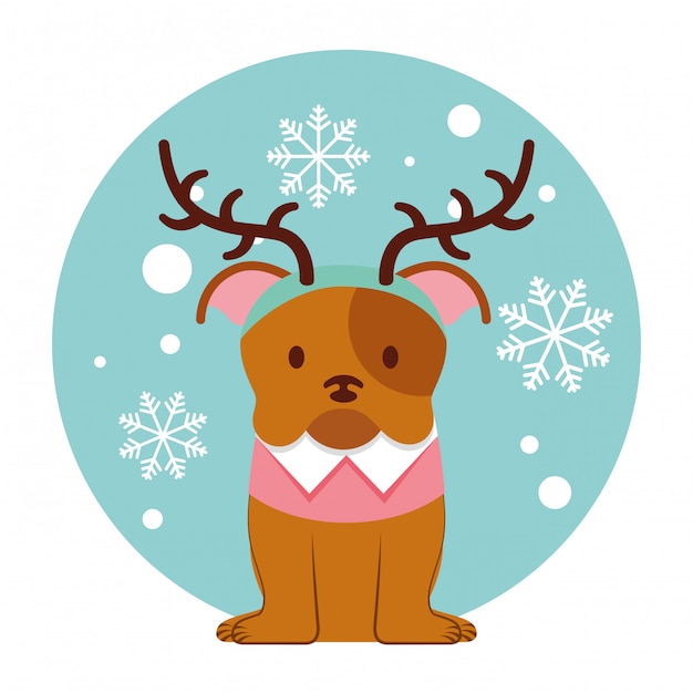 Собака веселая рождественская открытка