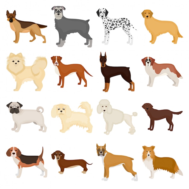 Vector dog muzzle  cartoon set icon. isolated cartoon set icon animal.   dog muzzle  .