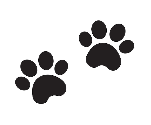 dog paw animal paws