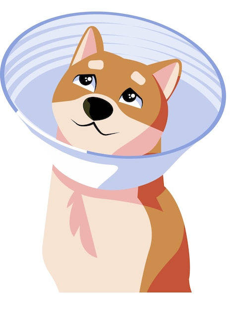 Dog pet cone vector illustration