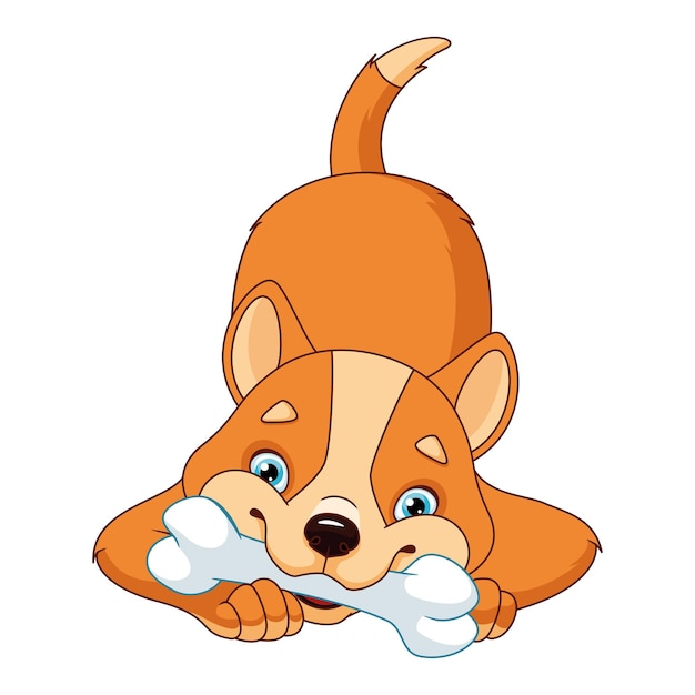 Dog playing with bone cartoon vector illustration