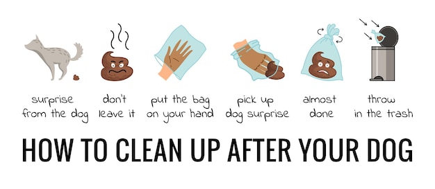 Dog poo clean up steps infographic set