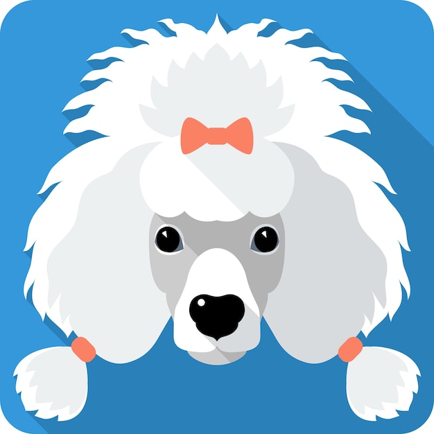 Dog poodle icon flat design