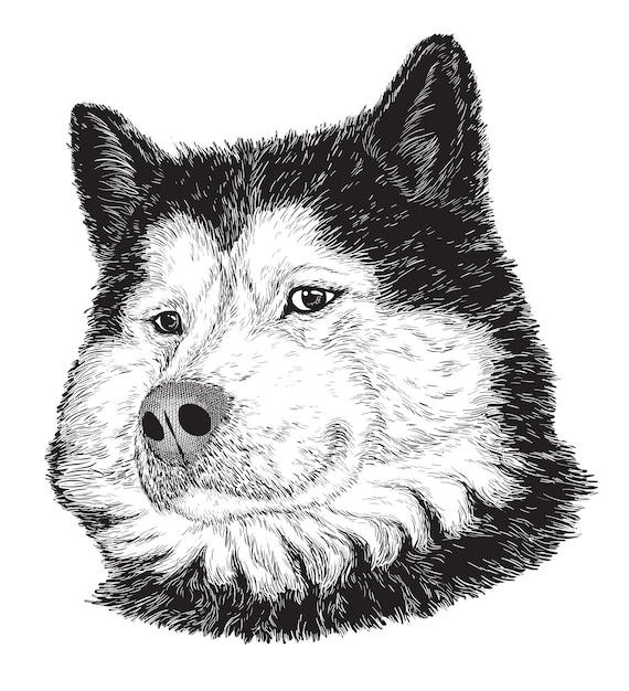 ベクトル 犬の肖像画の黒と白
