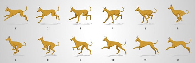 Vector dog run cycle animation sequence