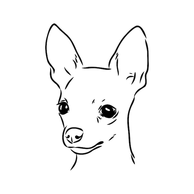 Dog russian toy terrier hand drawn vector llustration realistic sketch toy terrier vector sketch
