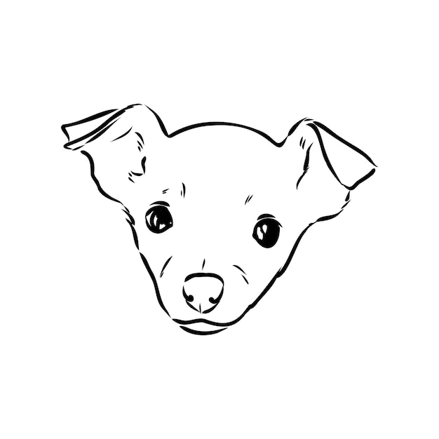 Dog russian toy terrier hand drawn vector llustration realistic sketch