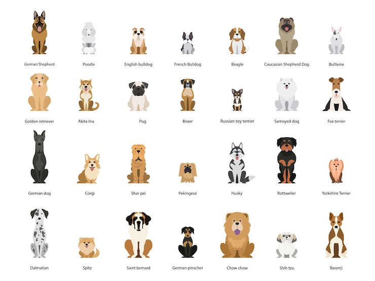 Vector dog set. collection of dogs of various breed. cute funny domestic pet. dalmatian and german shepherd. group of animal. 