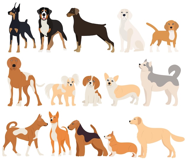 Dog set flat design isolated vector