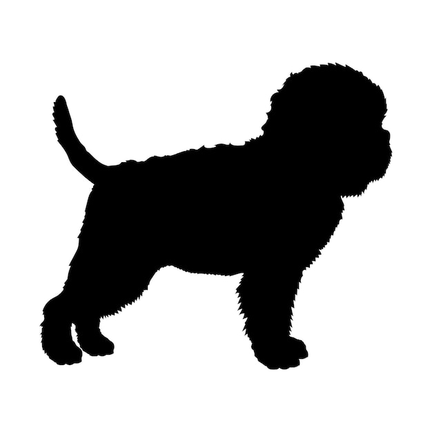 Vettore silhouette di cane affenpinscher razze di cani logo vettor di monogramma di cane