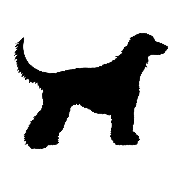 Vector dog silhouette afghan hound dog breeds logo dog monogram vector