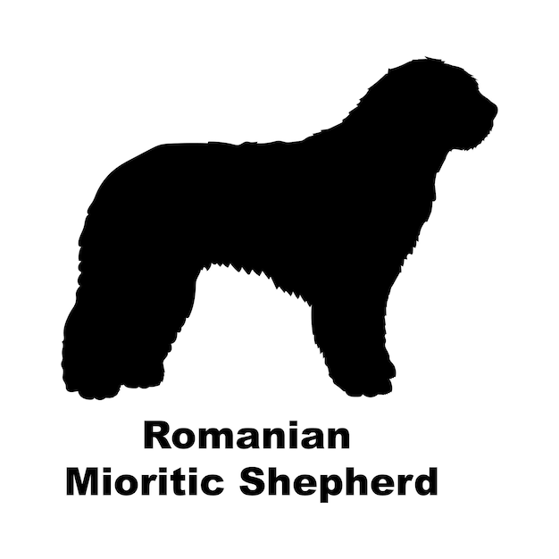Dog silhouette breeds dog breeds dog monogram logo vector