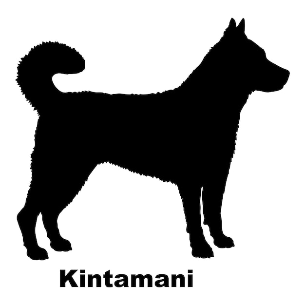 Силуэт собаки Вектор монограммы логотипа Kintamani