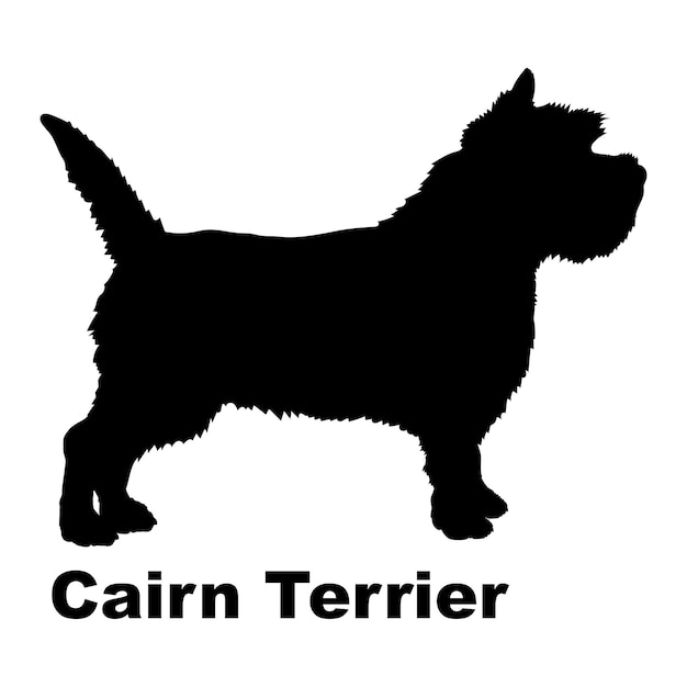 Vector dog silhouette dog cairn terrier breeds logo dog monogram logo vector