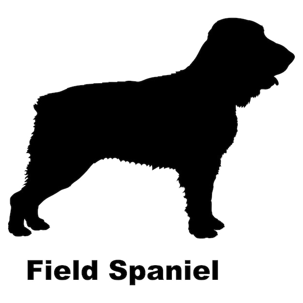 Vector dog silhouette dog field spaniel breeds logo monogram vector