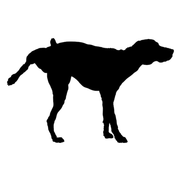 Vettore silhouette di cane cane sta pisciando razze logo cane monogramma logo vettore