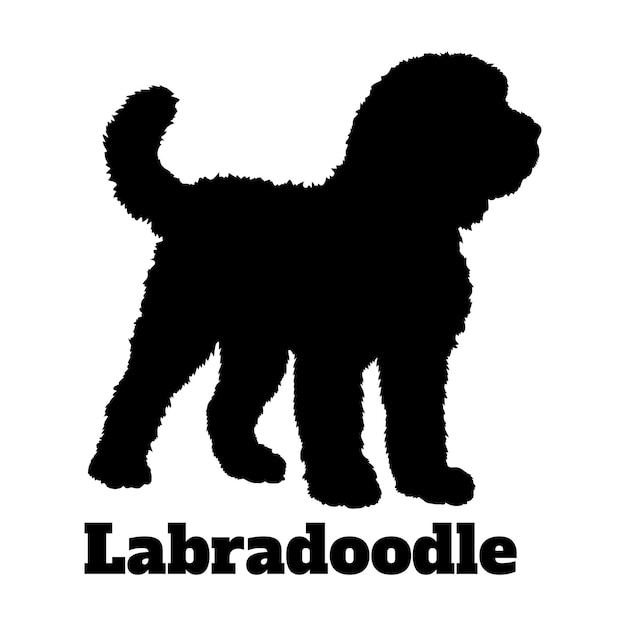 Vector dog silhouette dog labradoodle breeds vector dog logo