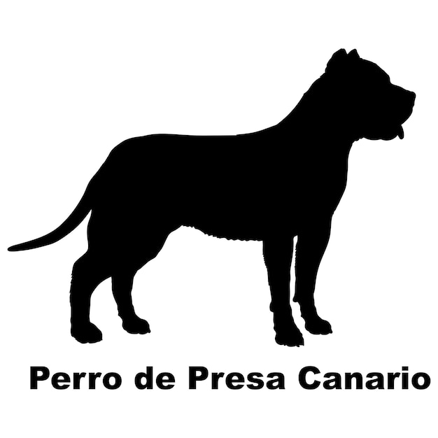 Vector dog silhouette dog perro de presa canario breeds logo monogram vector