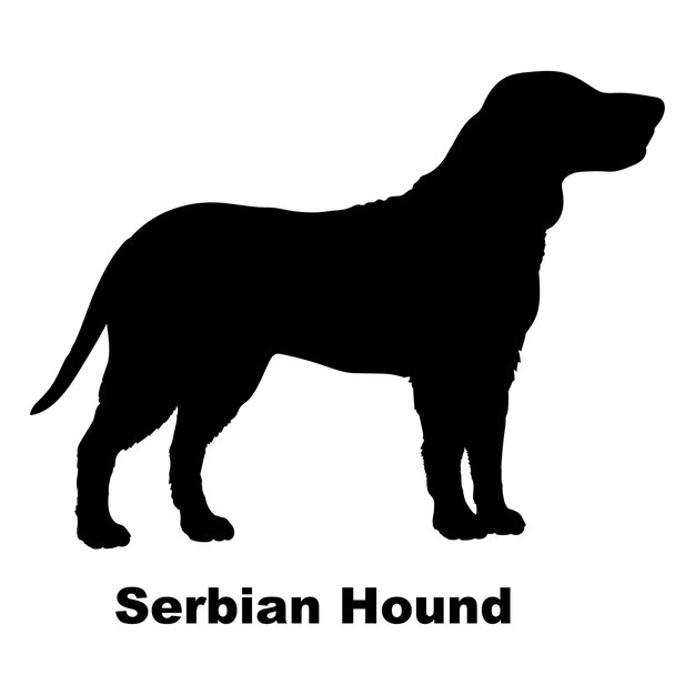 Vettore silhouette di cane cane serbo hound razze di logo cane monogramma vettore