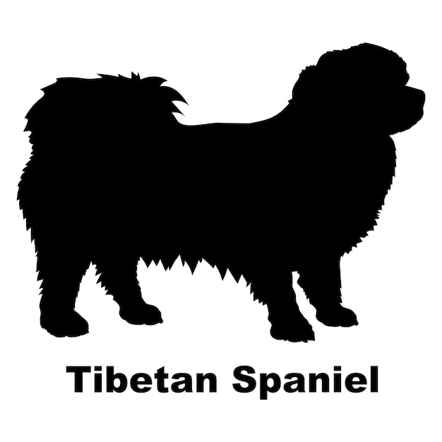 Vettore silhouette di cane cane tibetan spaniel razze di logo cane monogramma vettore