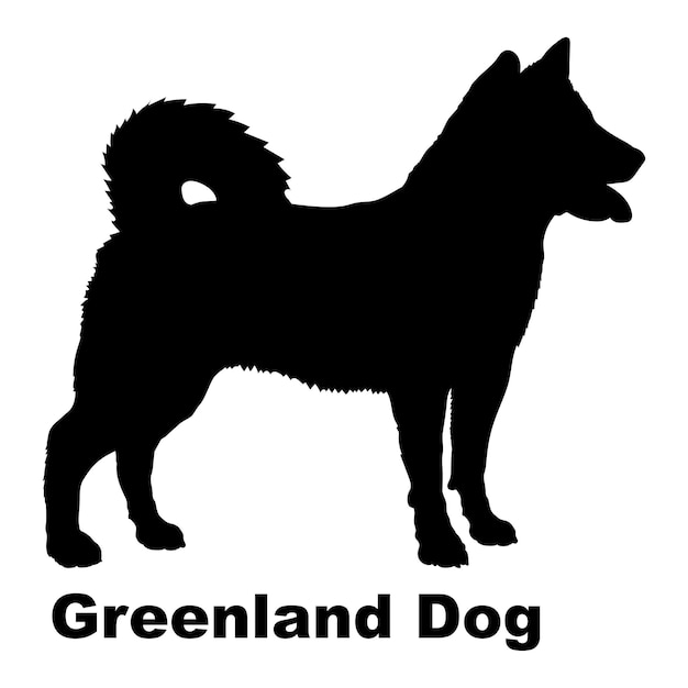 Dog silhouette Greenland Dog breeds logo monogram vector