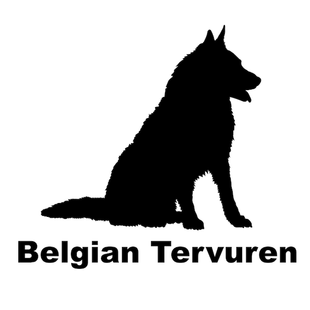 Dog silhouette hond Belgische Tervuren rassen logo monogram vector