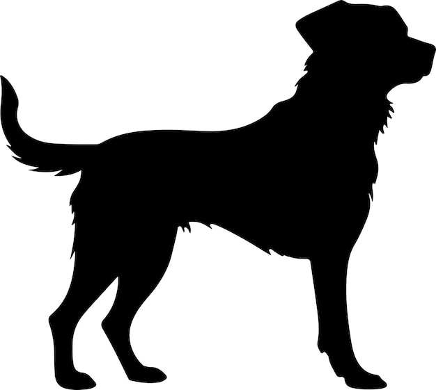 Силуэт собаки Векторная иллюстрация Белый фон