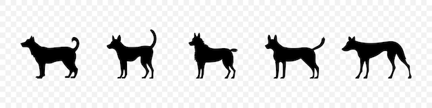 Dog silhouettes set Hondenrassen Labrador silhouette Huisdierenverzorging concept Vet concept Vector set