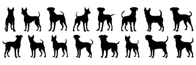 Dog silhouettes set large pack of vector silhouette design isolated white background