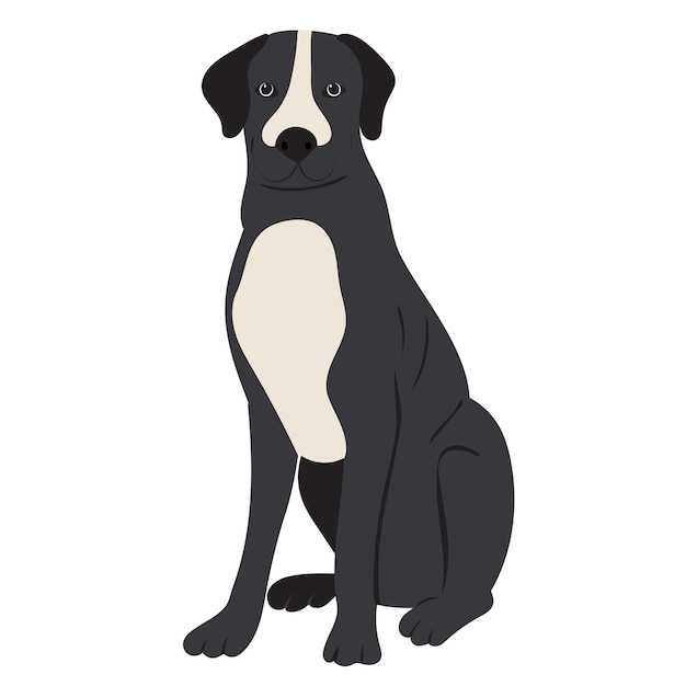 Dog sitting in flat design isolated