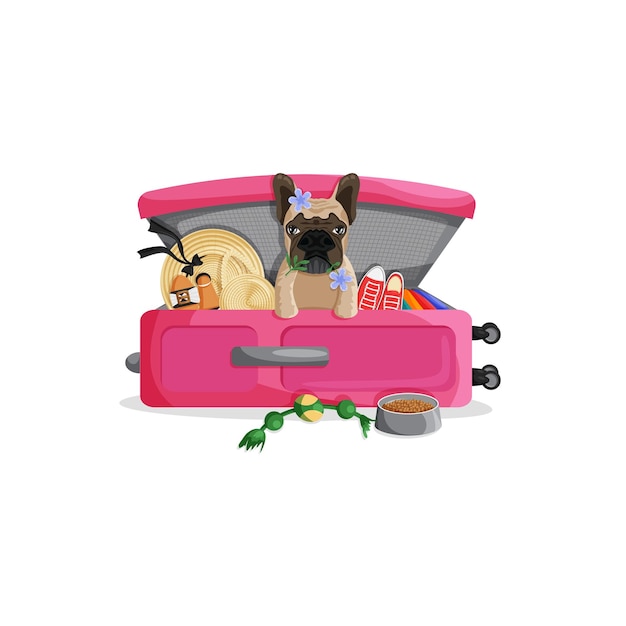 Vector dog in suitcase french bulldog sitting inside of travel bag and around clothes shoes accessories