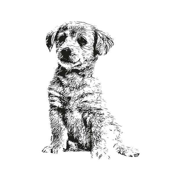 Dog vintage animal illustrations vector and isolated cute