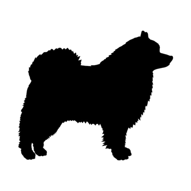 Dog Volpino Italiano silhouette dog breeds logo dog monogram vector