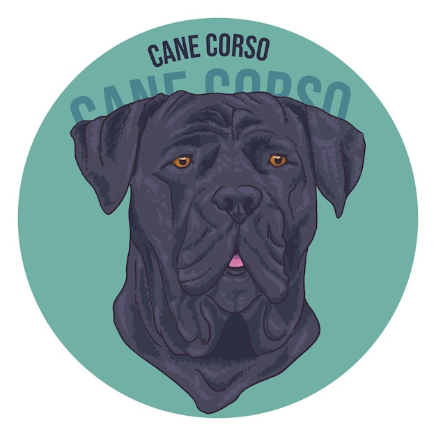 Vector a dog with a blue circle that says cane corso.