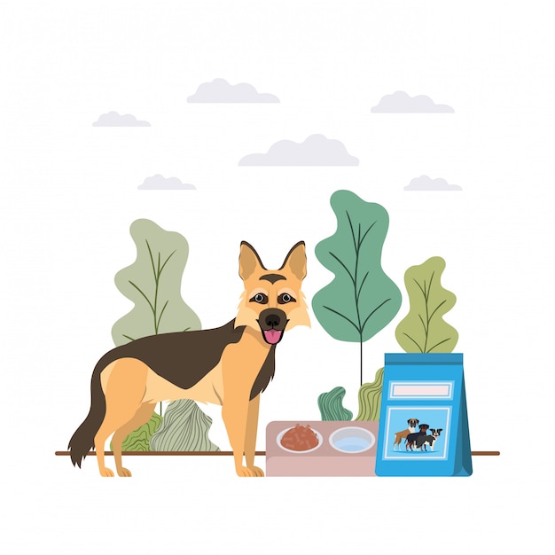 Dog with bowl and pet food on landscape