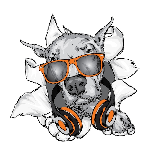 Dog with headphones. Funny puppy.