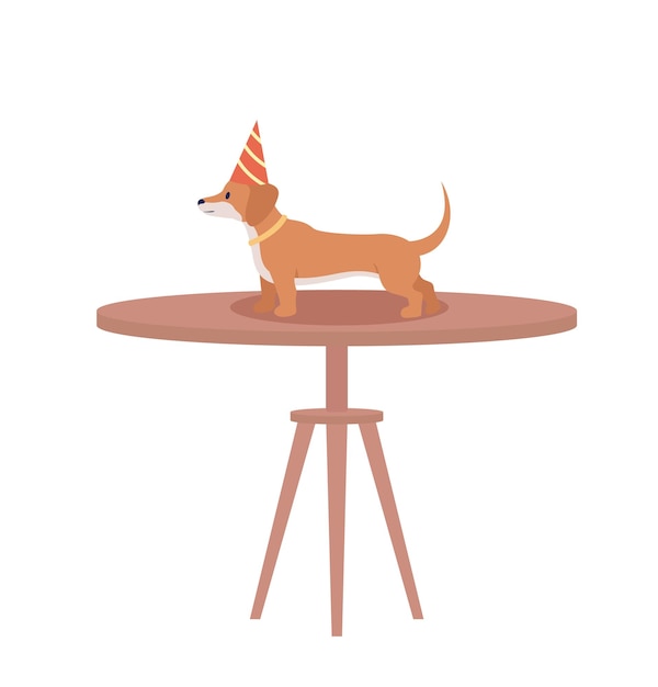 Dog with party cone on table semi flat color vector character