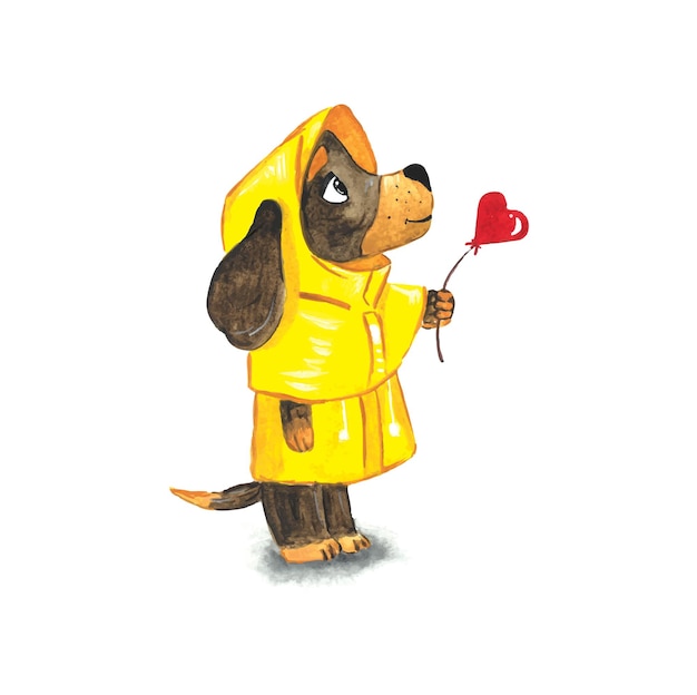 Un cane con un impermeabile giallo tiene in mano un cuore