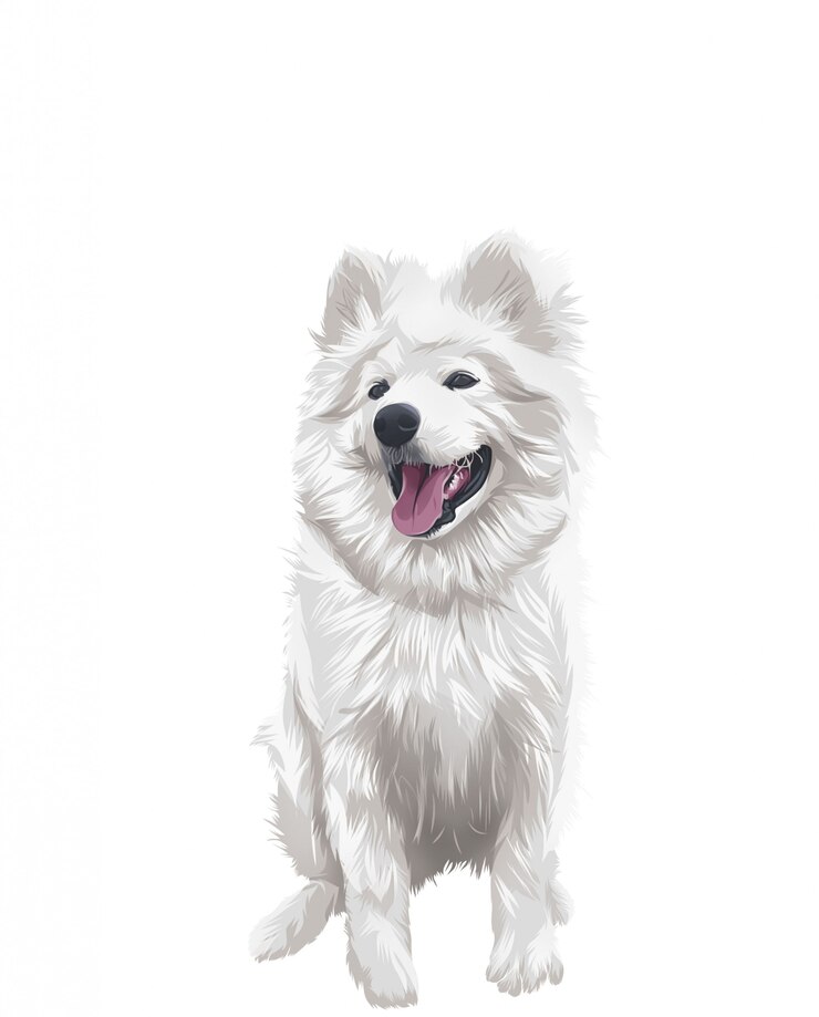 Vector 개