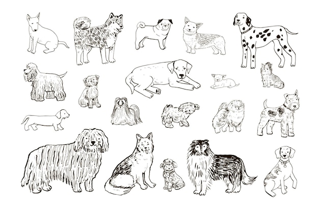 Vector dogs animal vector illustrations line set