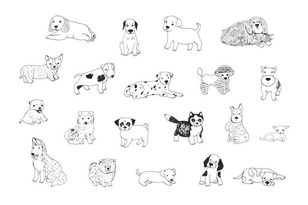 dogs animal vector illustrations line set