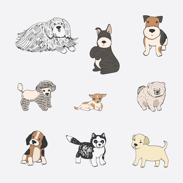 Vector dogs animal vector illustrations set